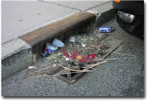 Debris in Catch Basin
