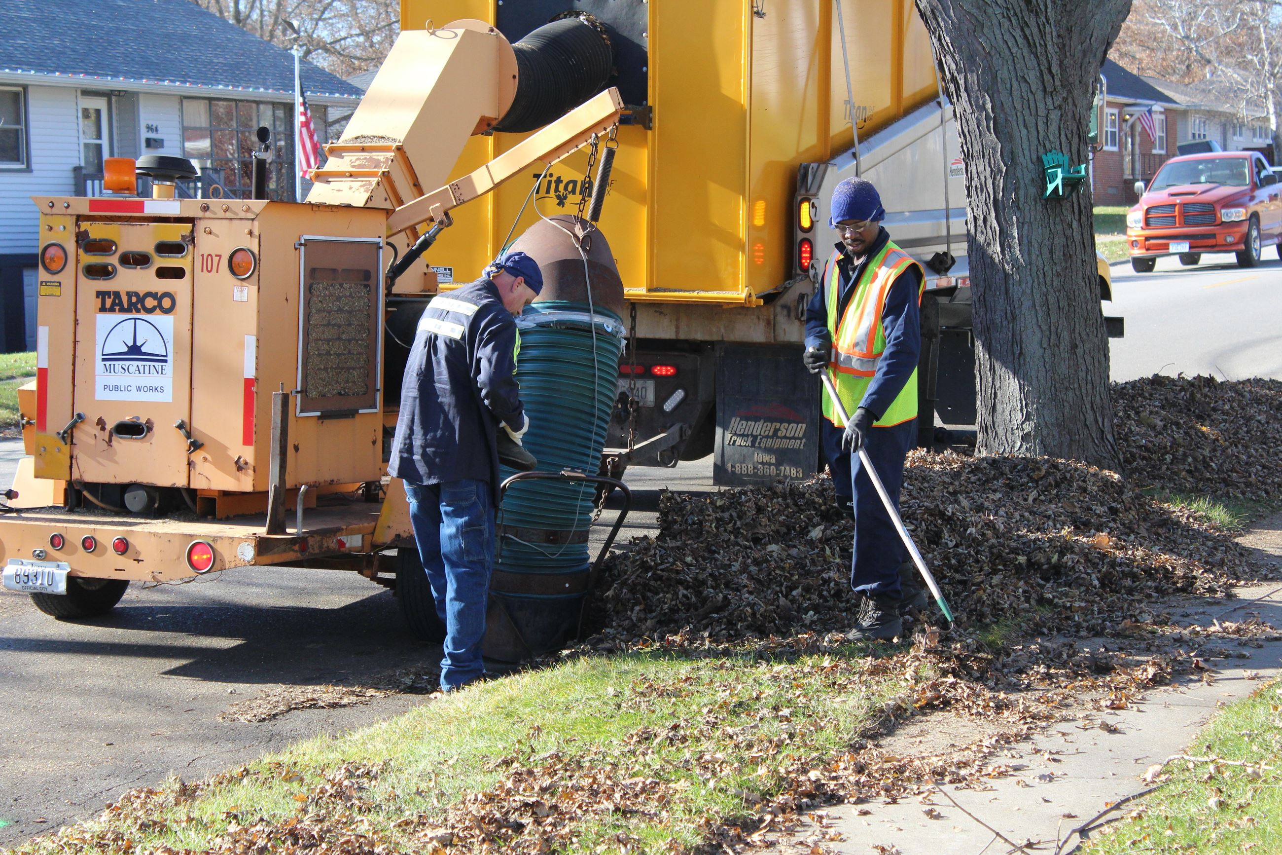 Leaf Collection 112917a