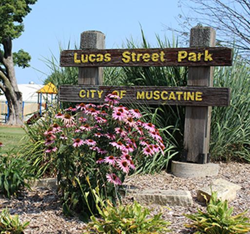Flowers in front of a wooden sign