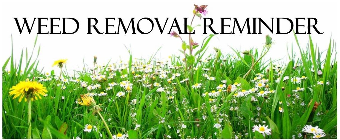 Weed Removal (JPG)