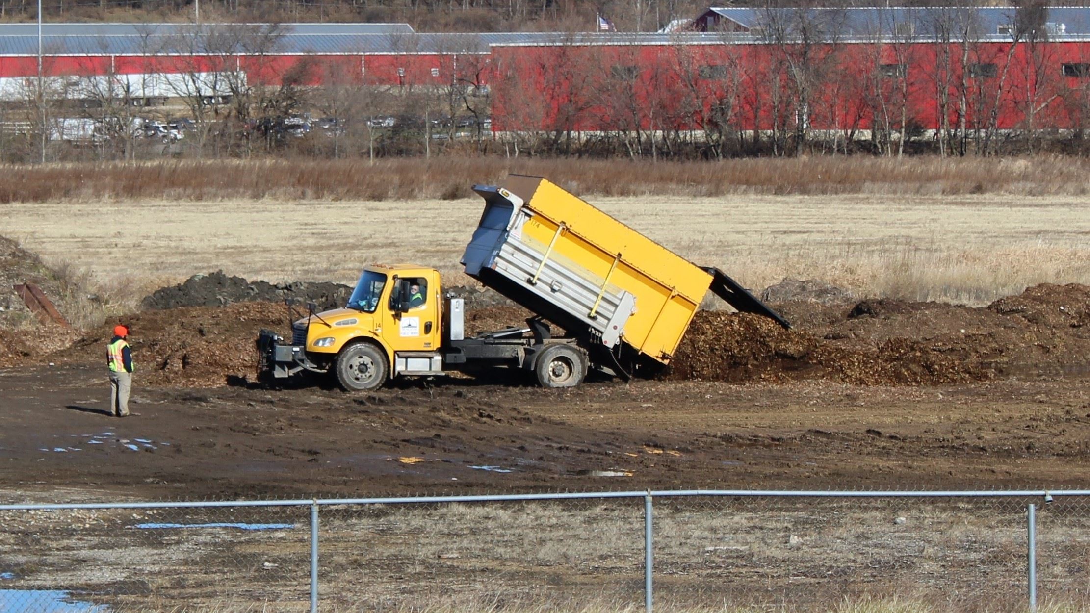 Where the leaves go 120419  (JPG)