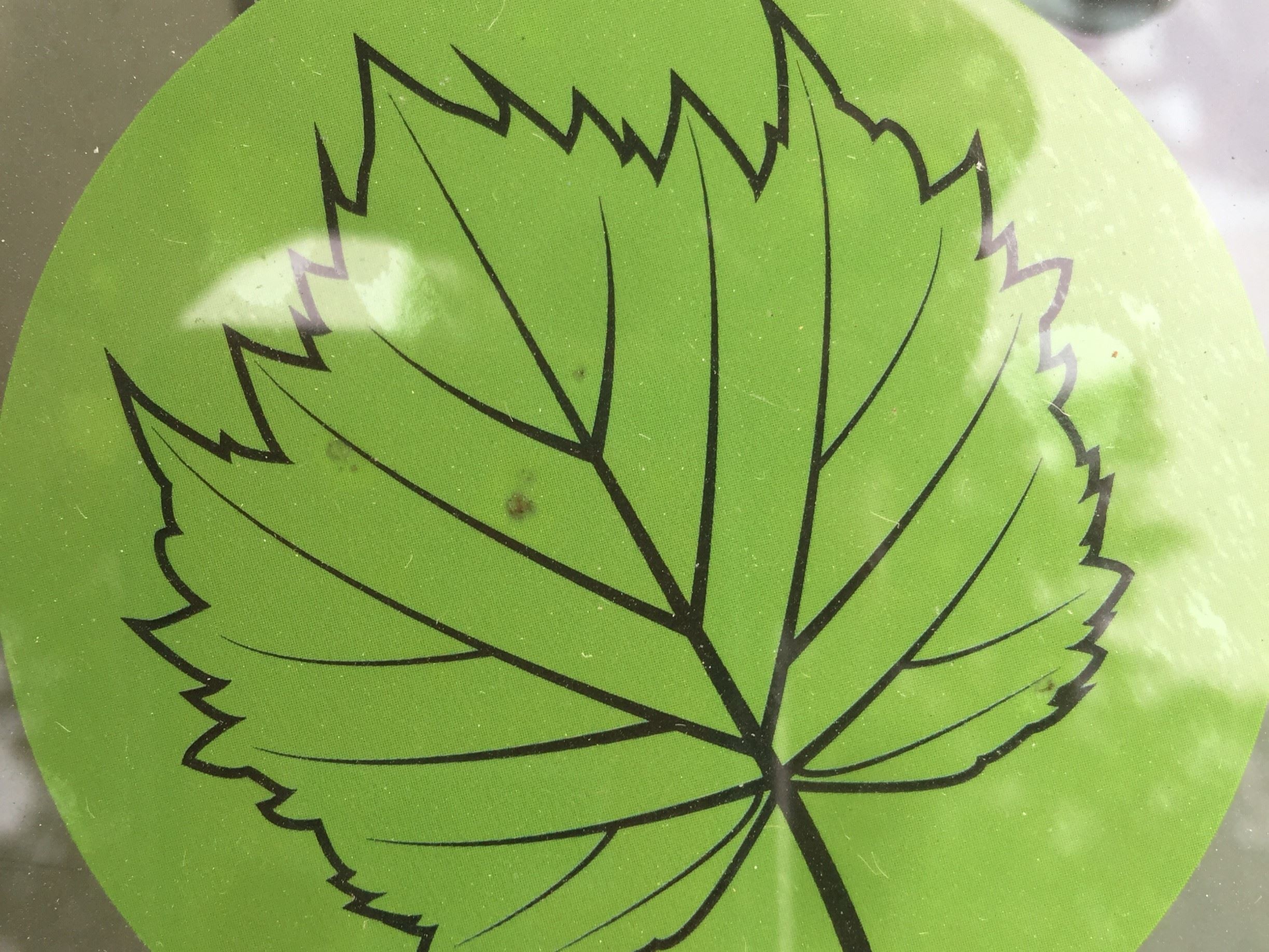 City of Muscatine resident window sticker (JPG)