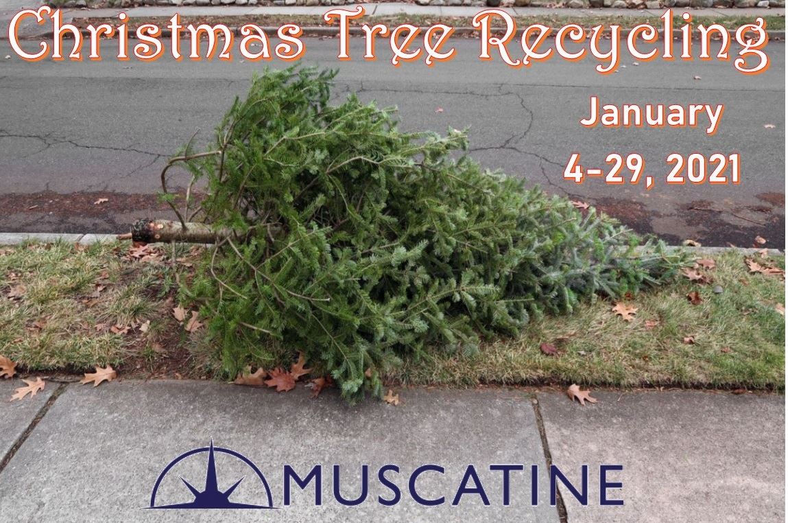 2021 Christmas Tree Recycling (JPG)