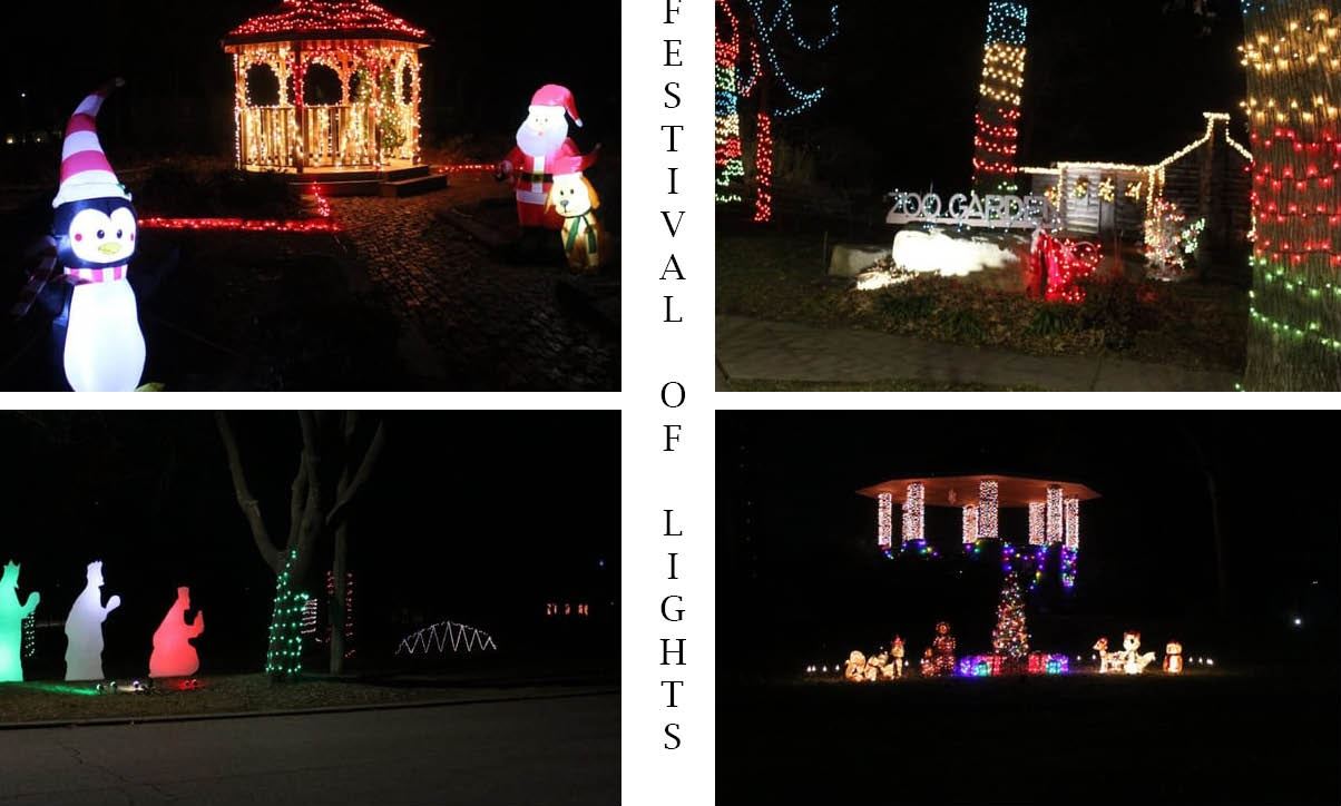 Festival of Lights (JPG)