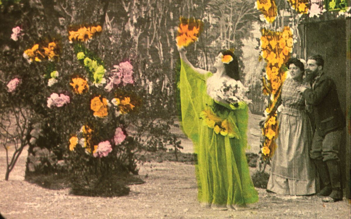 fs_brinton surprise_1200 (JPG)