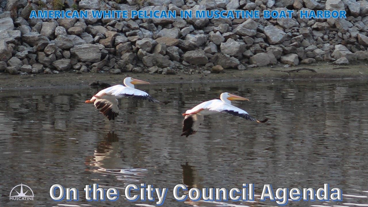 What is on the City Council agenda for September 15 (JPG)