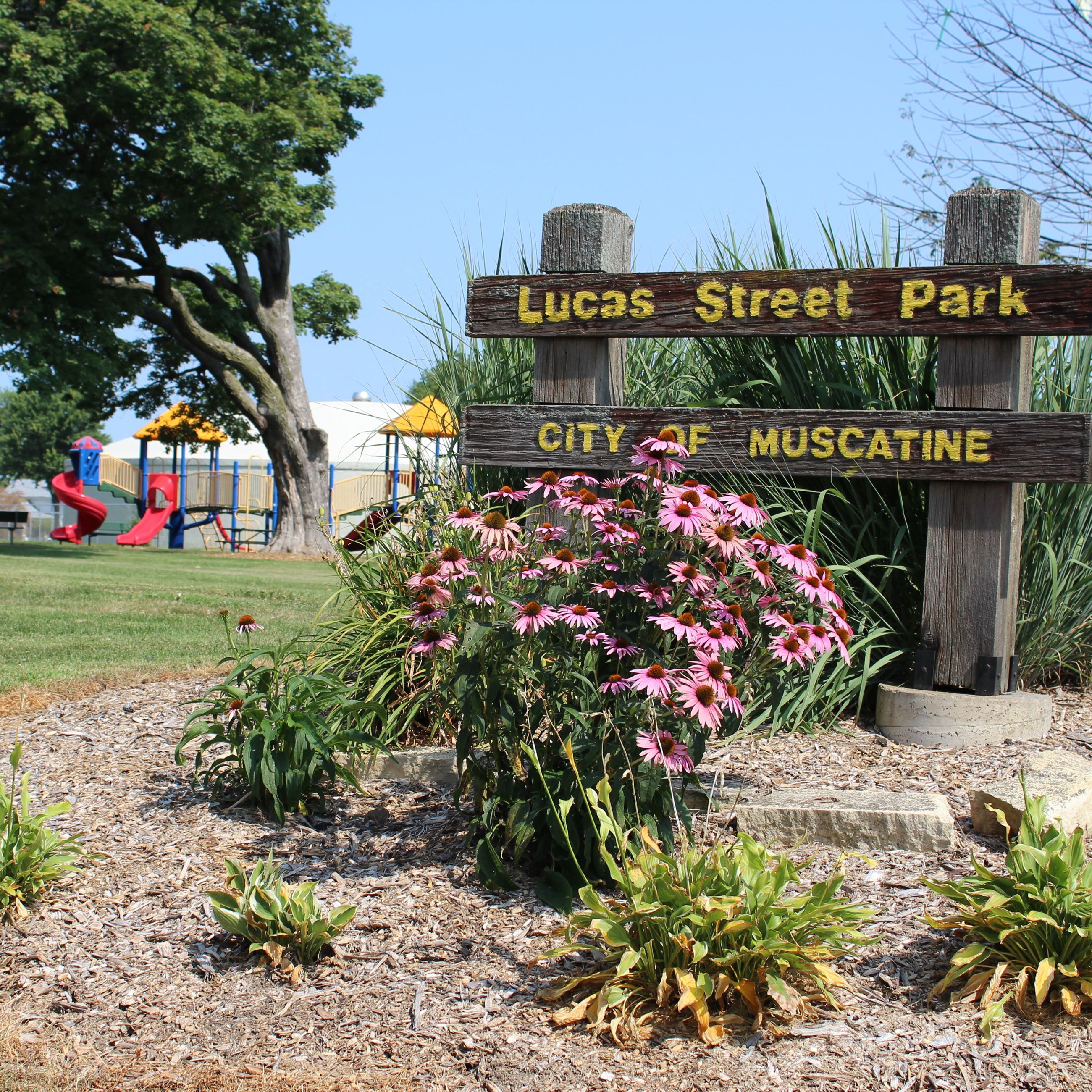 Lucas Street Park square