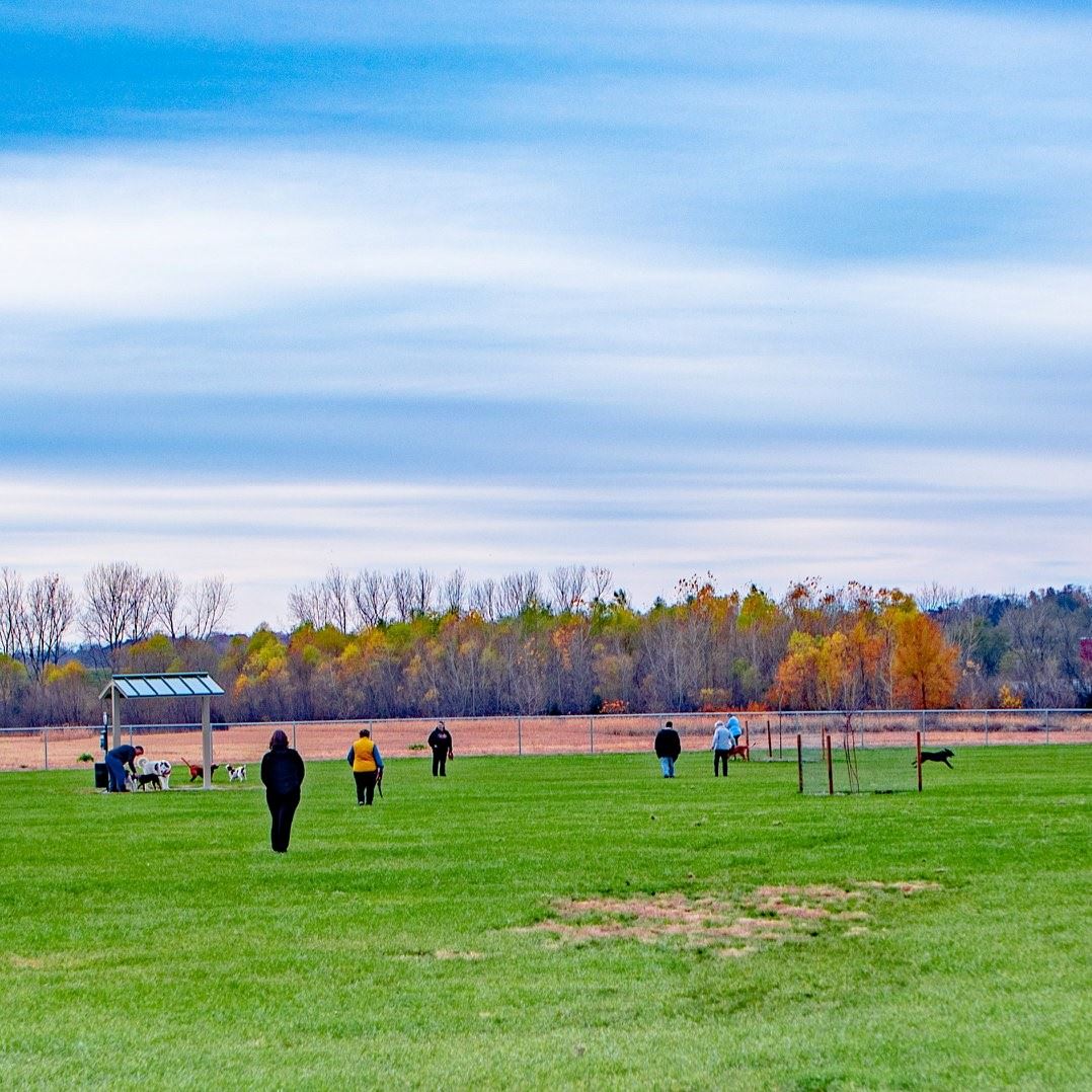 110118 Muscatine Dog Park square
