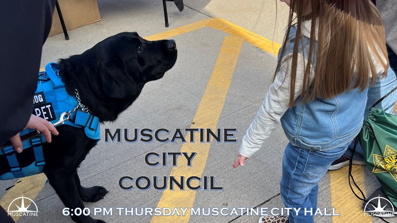 Muscatine City Council Meeting 02 Horizontal (JPG)