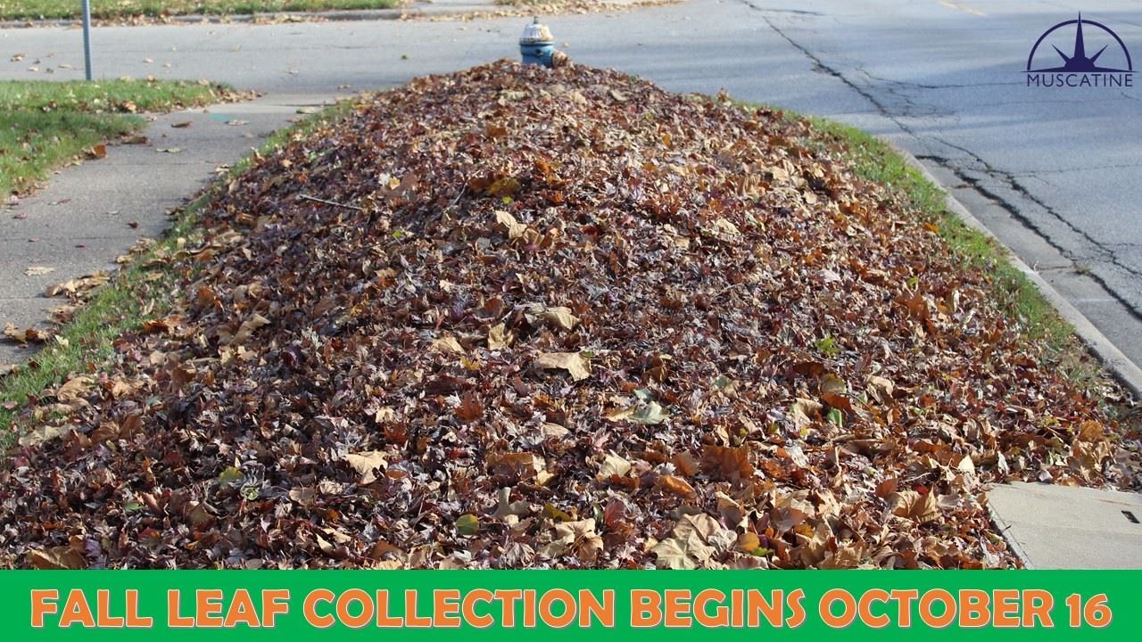 Fall Leaf Collection To Start 2023 (JPG) October 12, 2023