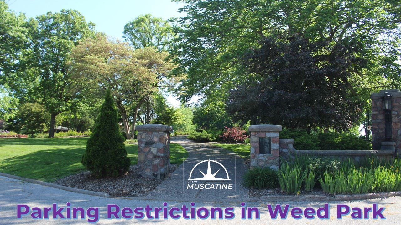 Parking Restrictions In Weed Park (JPG)