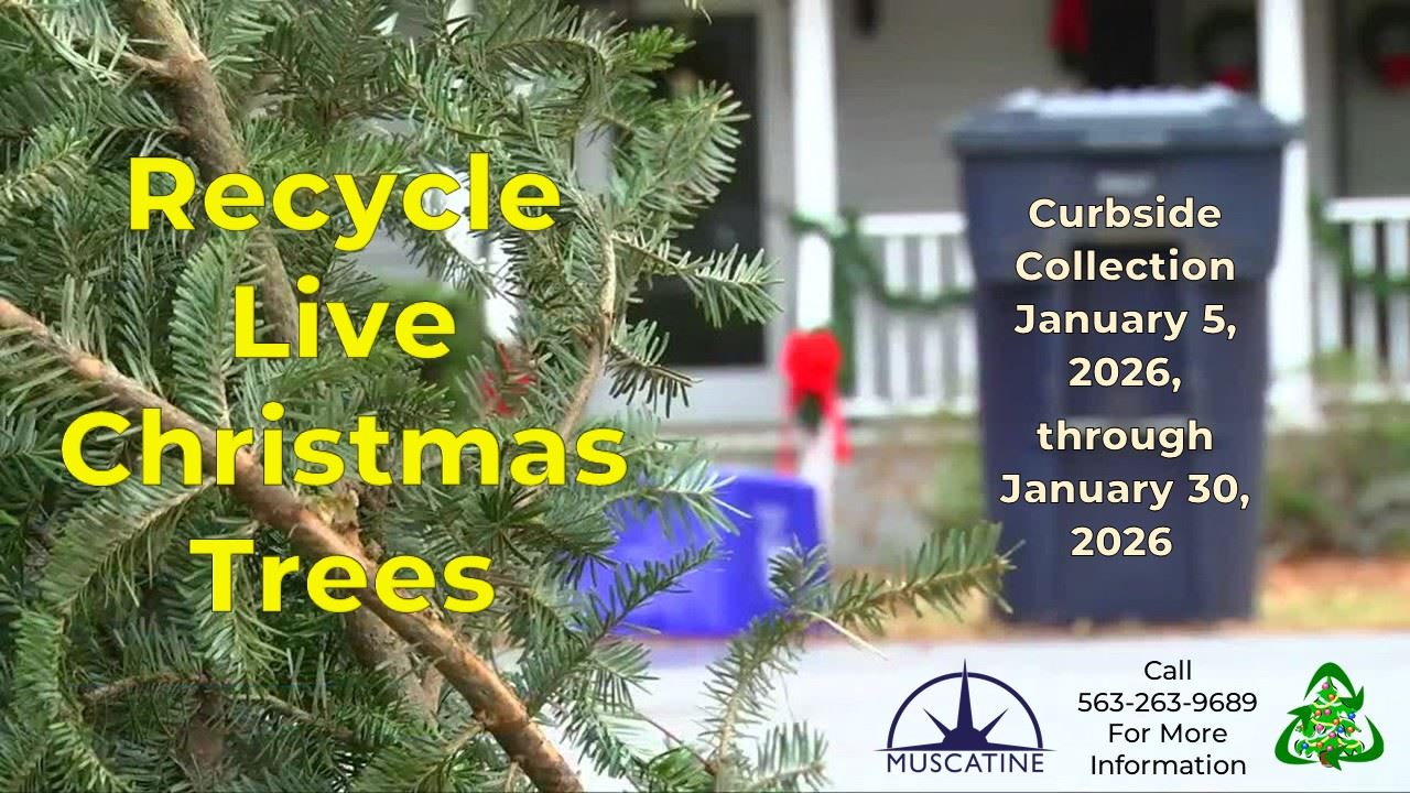 2026 Christmas Tree Recycling Promo (JPG)