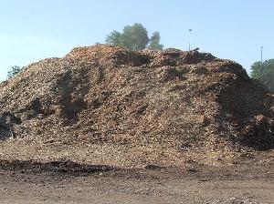 Compost pile